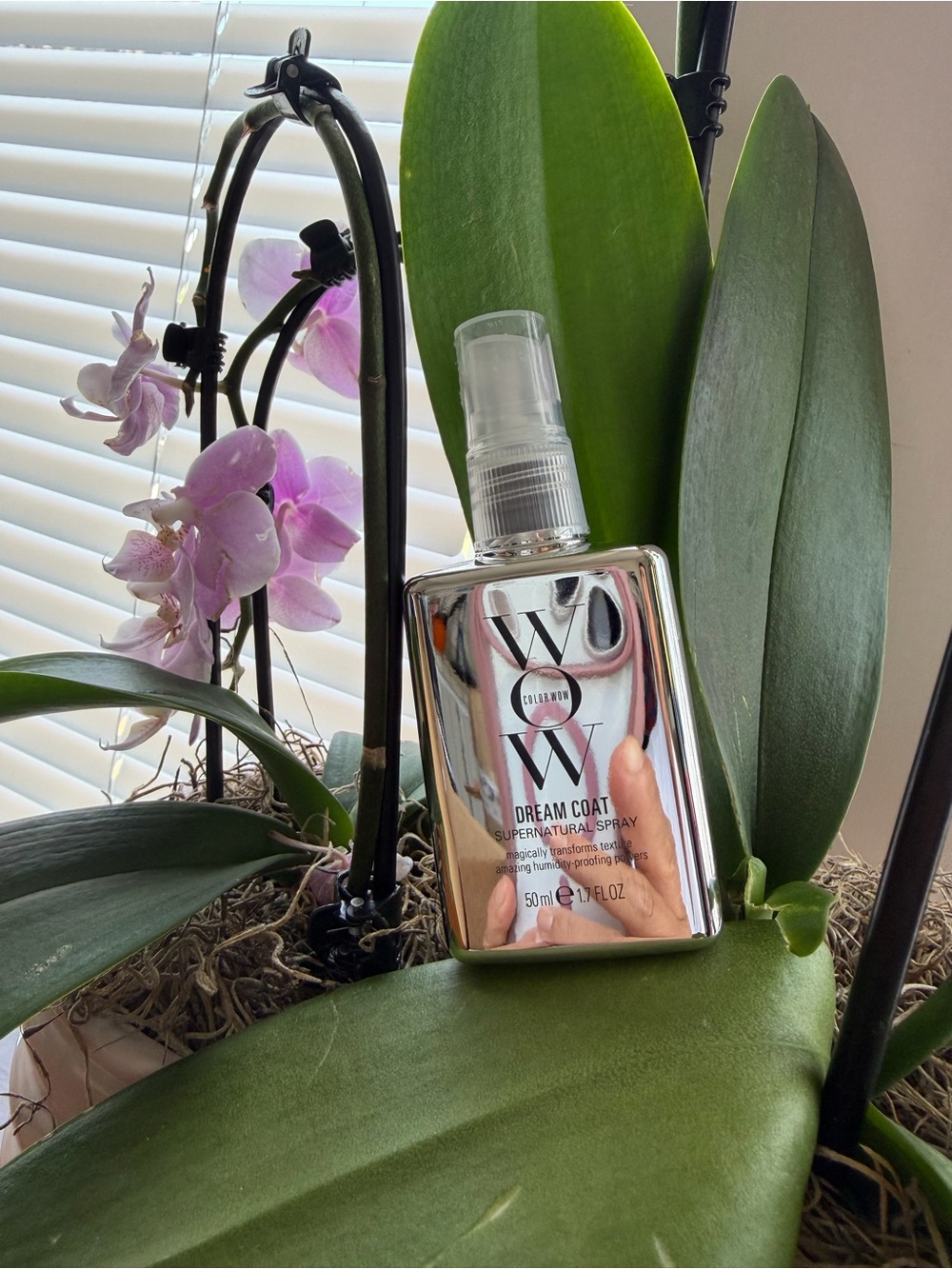 WOWDream Coat SupernaturalBottle